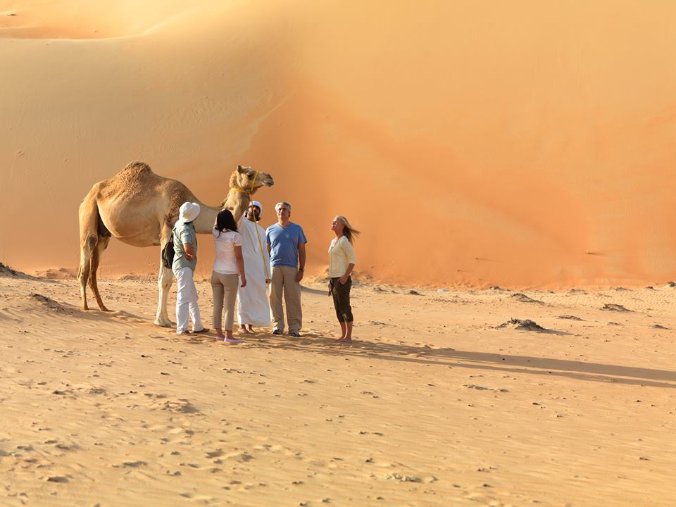 Верблюды в оаэ. Сафари Абу Даби. Сафари в пустыне ОАЭ. Desert Safari Abu Dhabi. Дубай сафари верблюд.