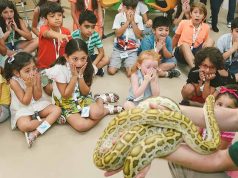 Kids are surprised seeing a python at Dubai's Bio Dome Indoor Tropical Rainforest.