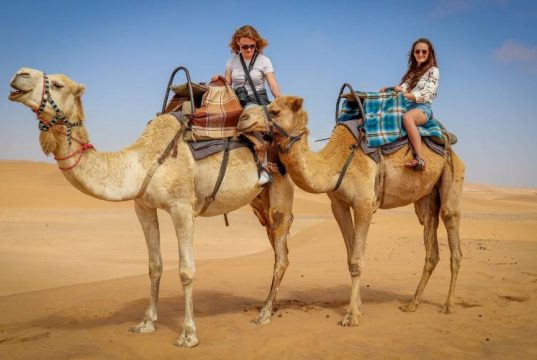 Tourist enjoying their ride on a camel in desert sand.