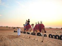 An Arab man at Dubai Desert Safari holding a camel with some people on it.